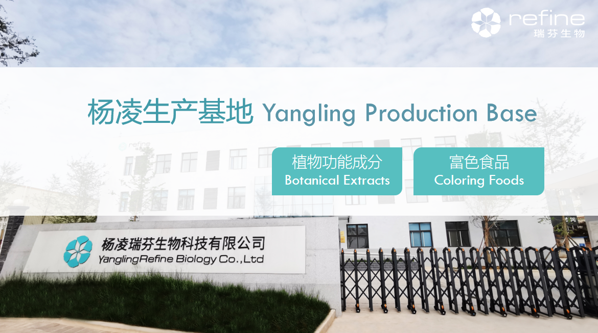 Production Bases(圖4) image.png